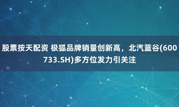 股票按天配资 极狐品牌销量创新高，北汽蓝谷(600733.SH)多方位发力引关注